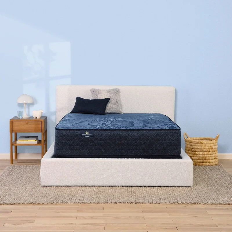 Polyester - foam mattresses for budget - friendly optionsSerta Perfect Sleeper Radiant Rest 14" Hybrid Plush Mattress Polyester - foam mattresses for budget - friendly optionsSerta Perfect Sleeper Radiant Rest 14" Hybrid Plush Mattress