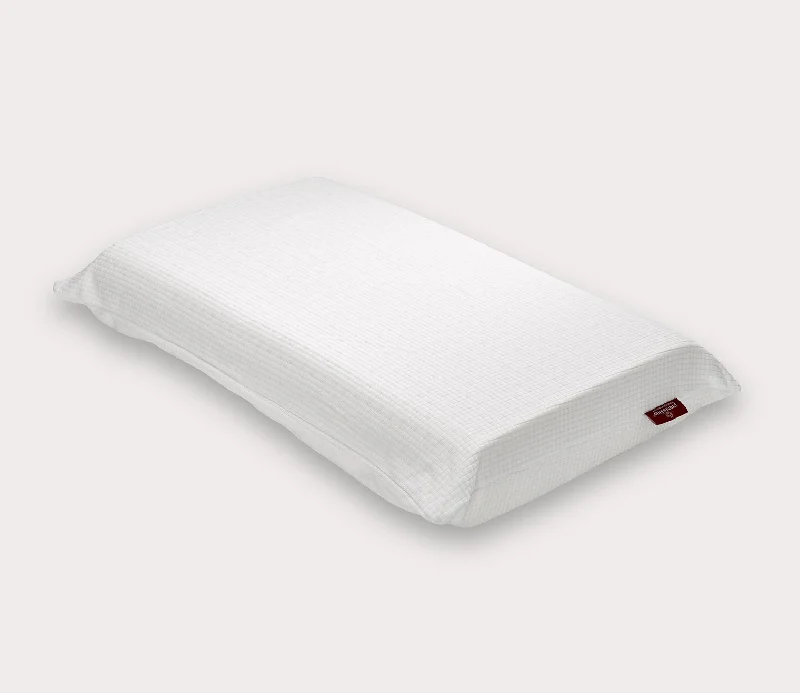 Silk Pillows for Smooth Skin and HairPranaSleep Queen Latex 4.5″ Pillow